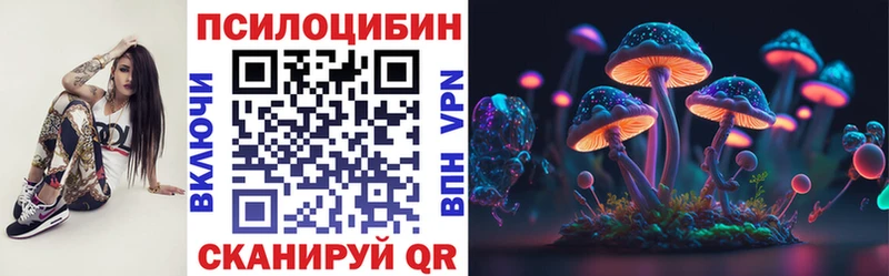 купить наркоту  Суздаль  mega ССЫЛКА  Галлюциногенные грибы Cubensis 